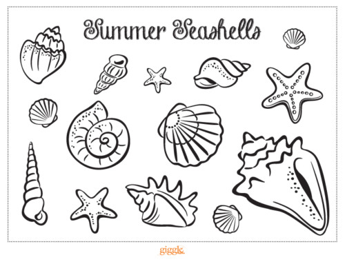 Summer Seashell Printable